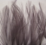 ����� Dry Fly Tailing (��� ��������� ����� ���) Dark Dun / Ҹ��� ����� Natures Spirit